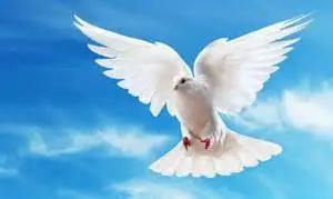 Condolence image of Unbekannt