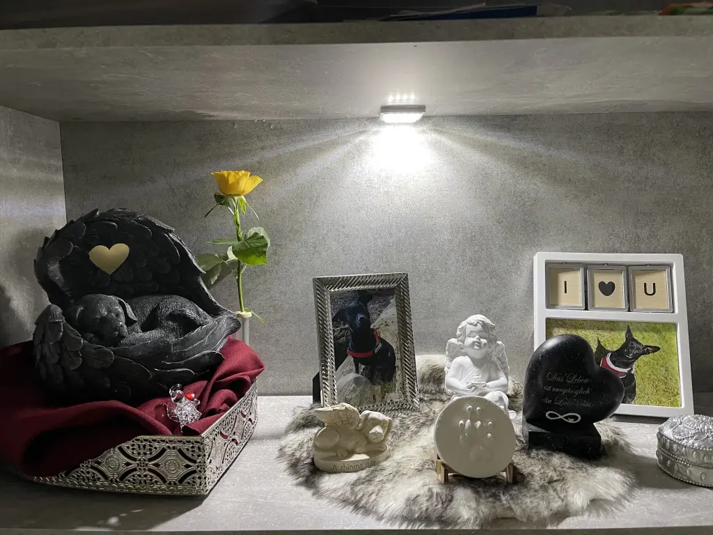 Image from Kropka
