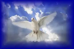 Condolence image of Ravis Mama
