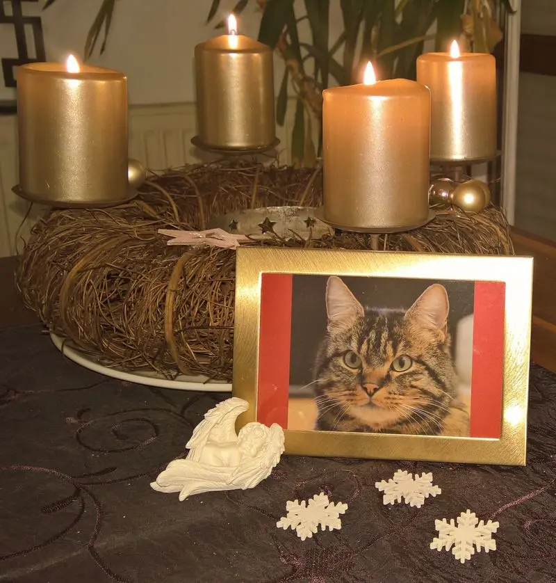 Condolence image of Carmen, Ravis Mama