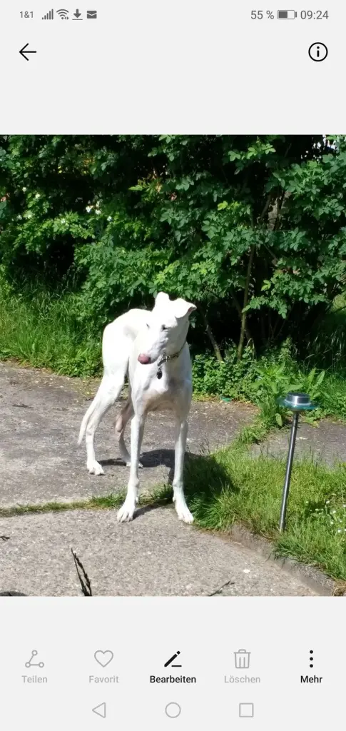 Andachtsbild von Gwendolyn