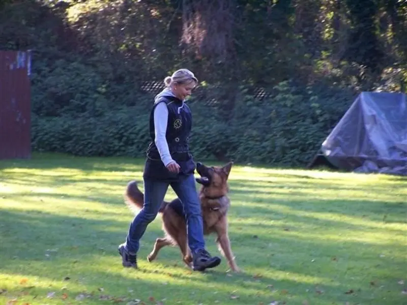 Andachtsbild von Martina