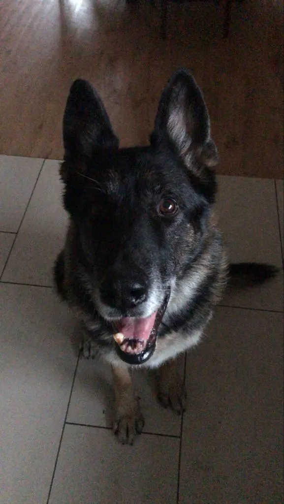 Bild von Illan vom Schulland