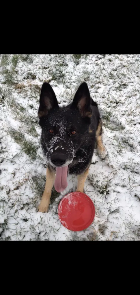 Bild von Illan vom Schulland