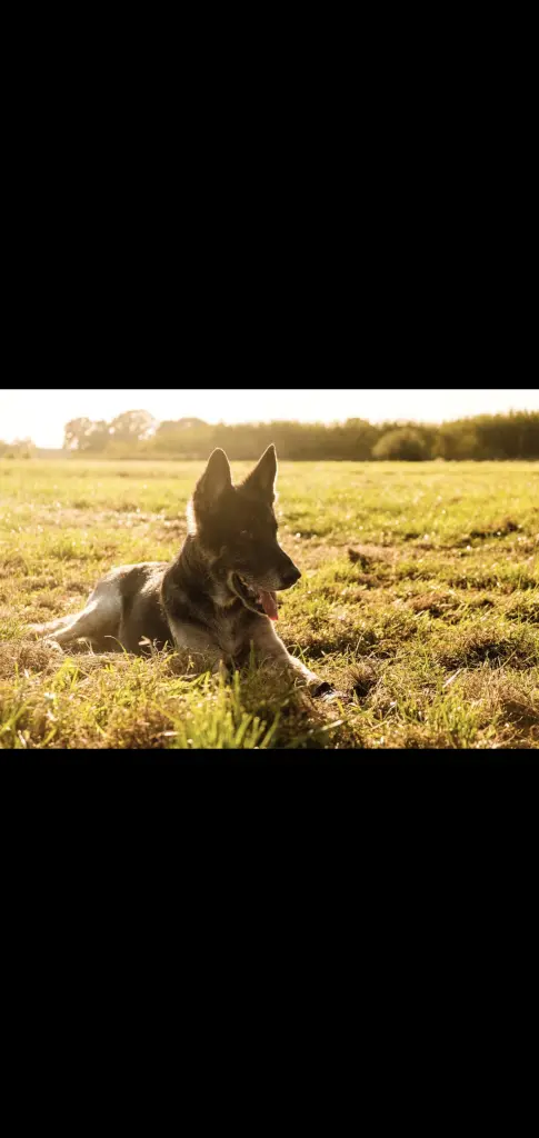 Bild von Illan vom Schulland