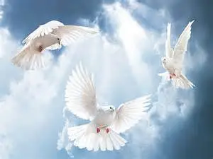 Condolence image of Unbekannt