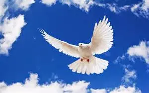 Condolence image of Unbekannt