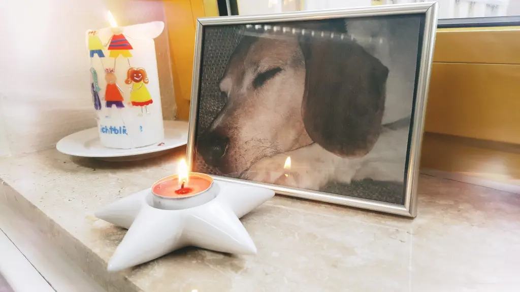 Condolence image of Tanja Drouven