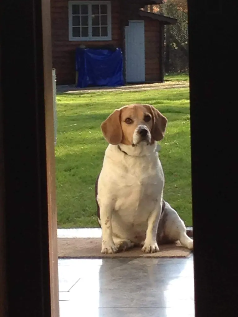 Image from Lucky (Lulu)