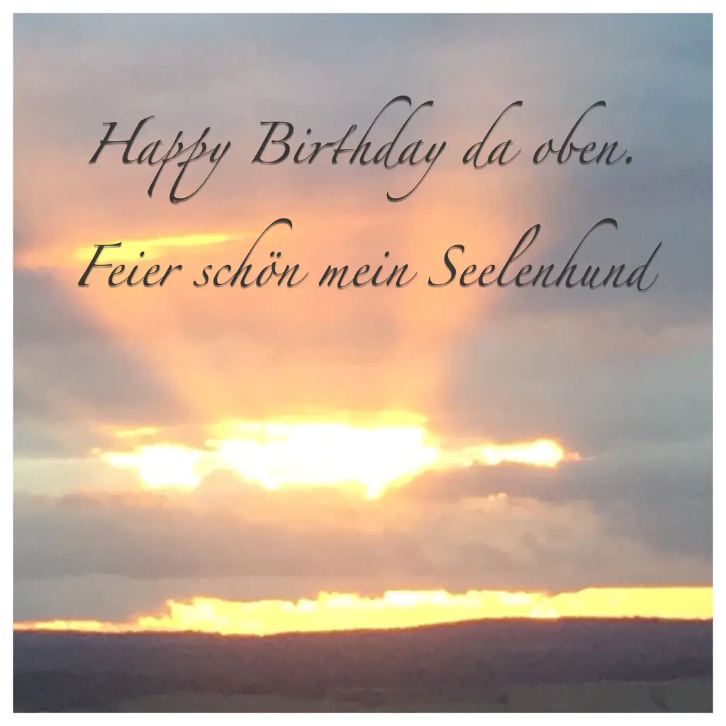 Image from Schogun