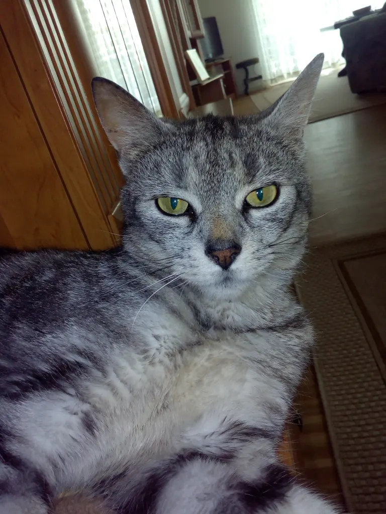 Image from Max