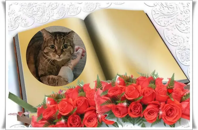 Condolence image of ❤️❤️❤️❤️❤️❤️❤️❤️❤️❤️❤️❤️
