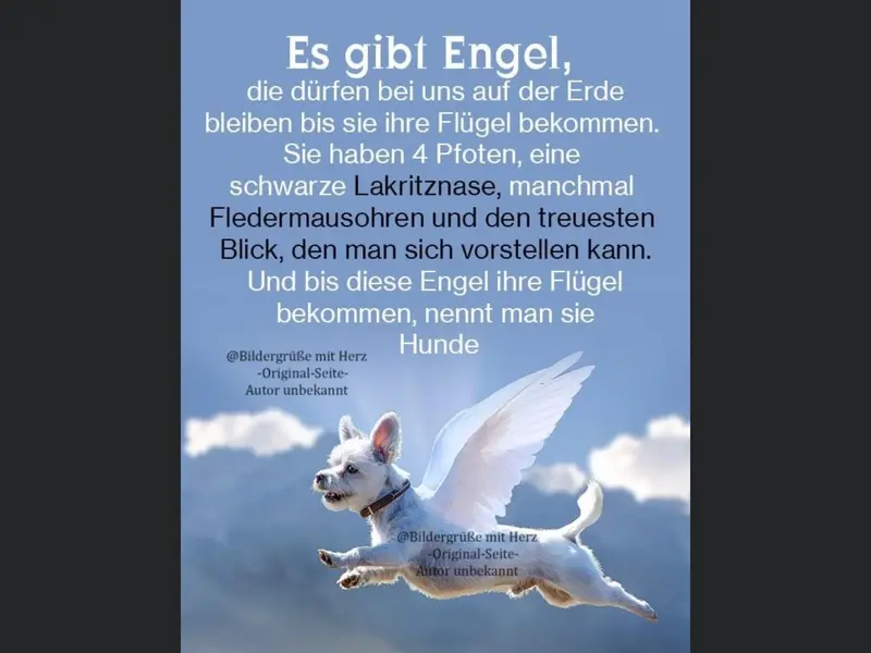 Condolence image of Konni & Wolfgang