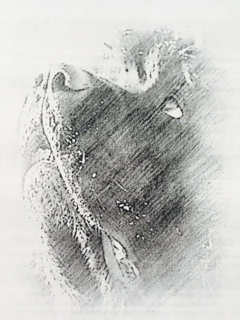Condolence image of Unbekannt
