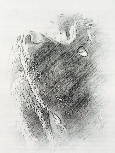 Image from Willi