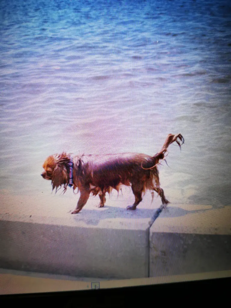 Image from Tiffy