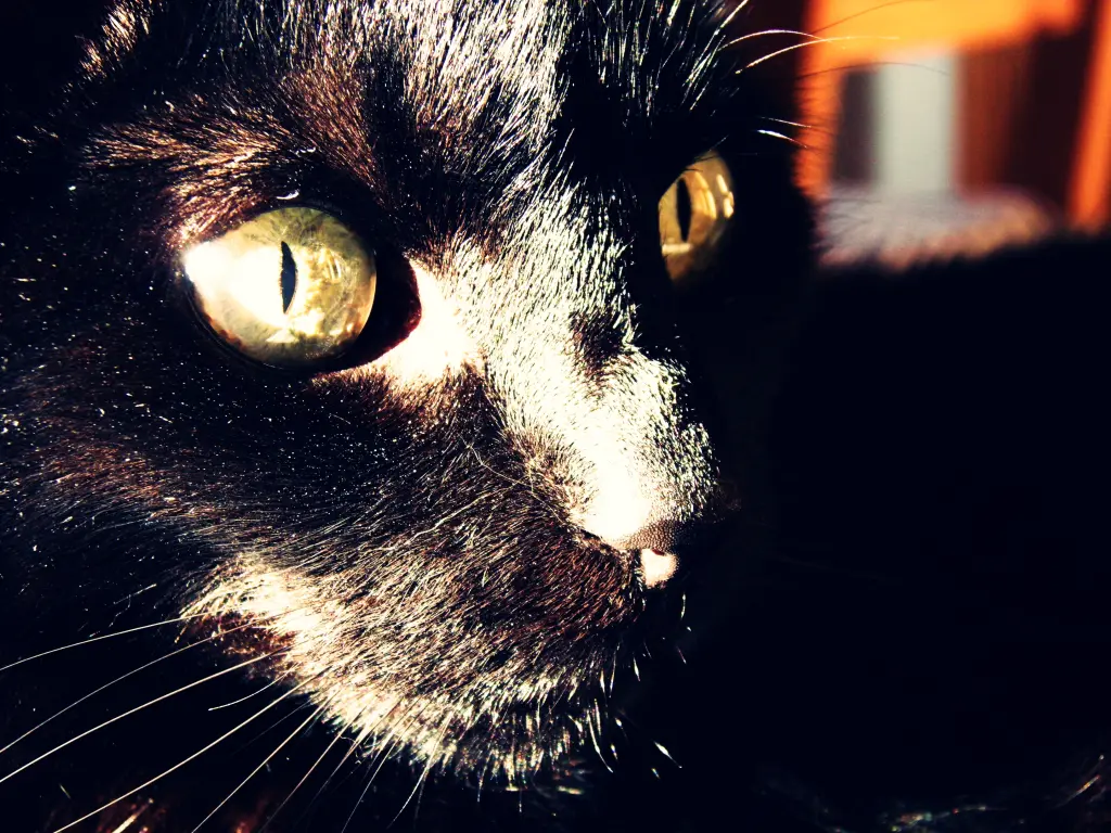Condolence image of Sascha