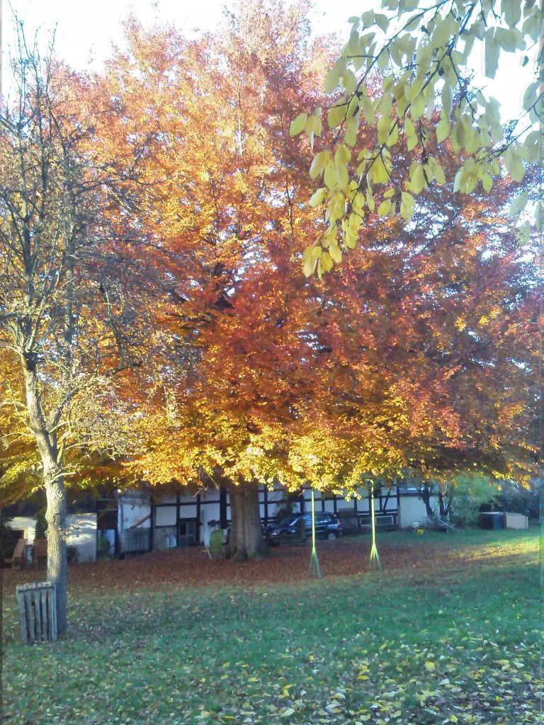 Condolence image of Unbekannt