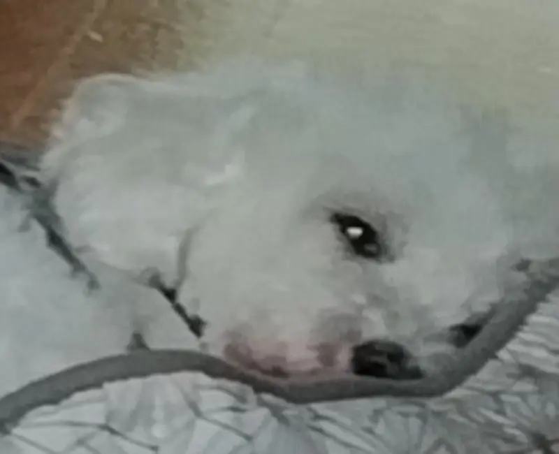 Condolence image of Marion