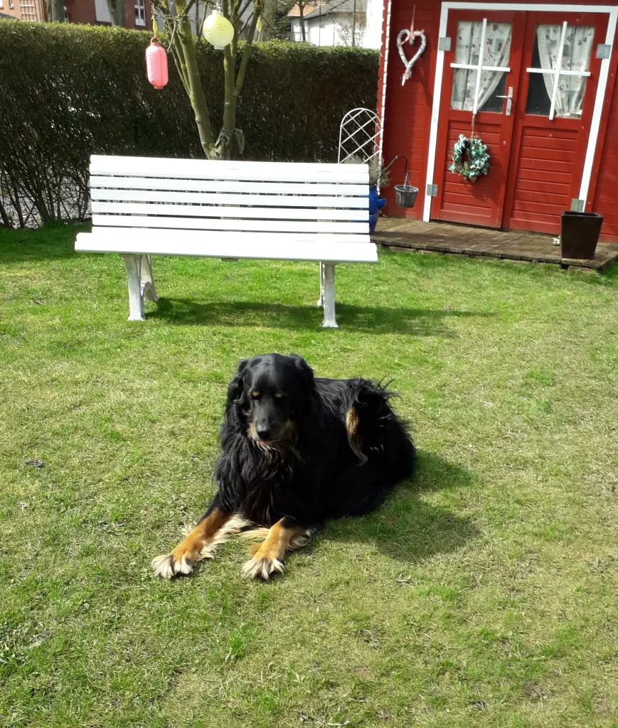 Image from Anton