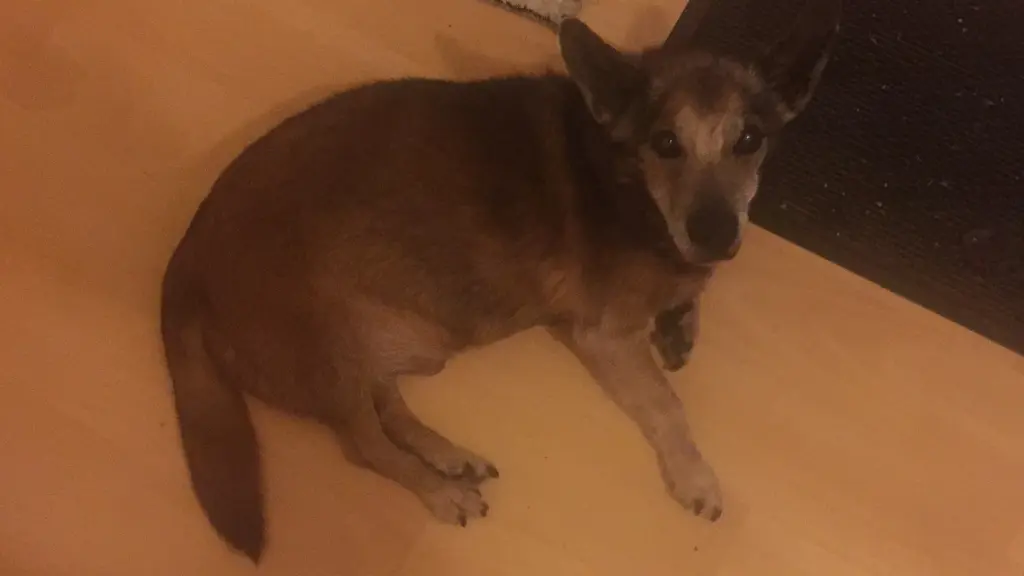 Andachtsbild von Manuela dein Frauchen