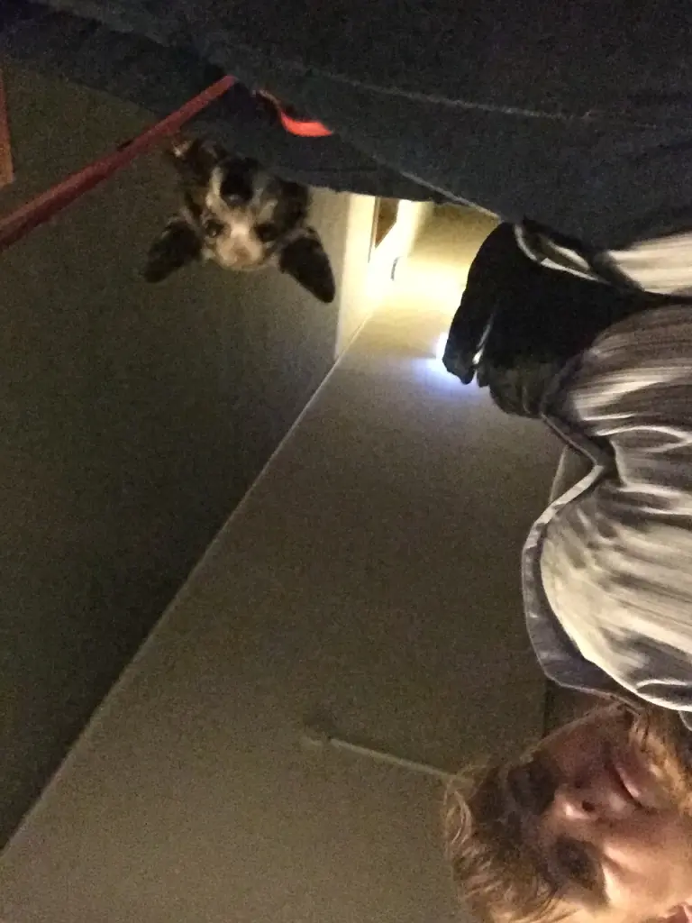 Andachtsbild von Manuela dein Frauchen