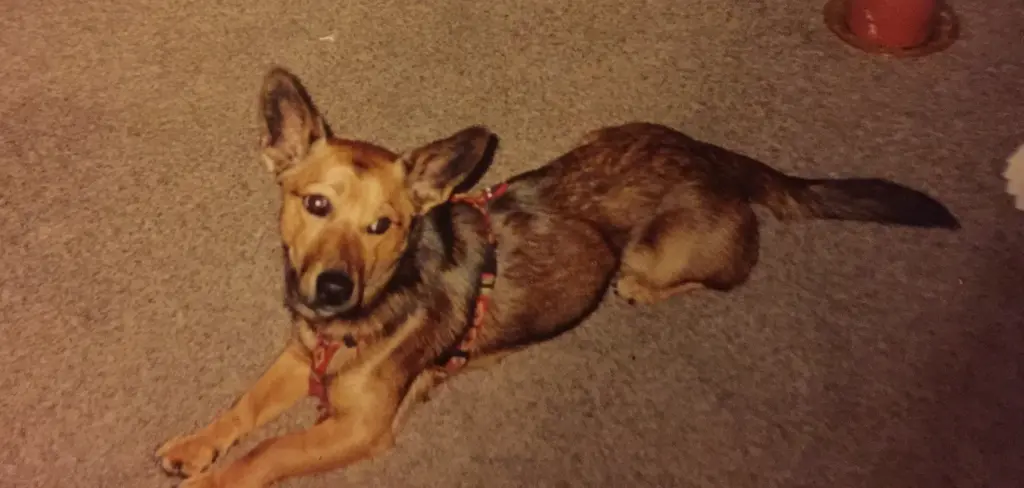 Andachtsbild von Manuela dein Frauchen