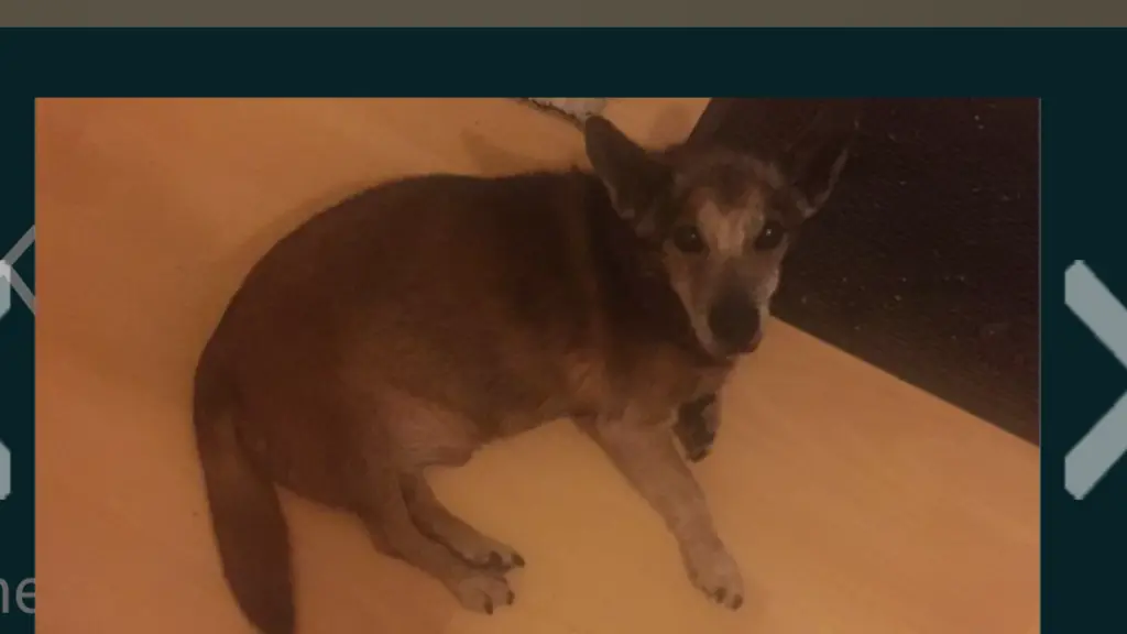 Andachtsbild von Manuela dein Frauchen 