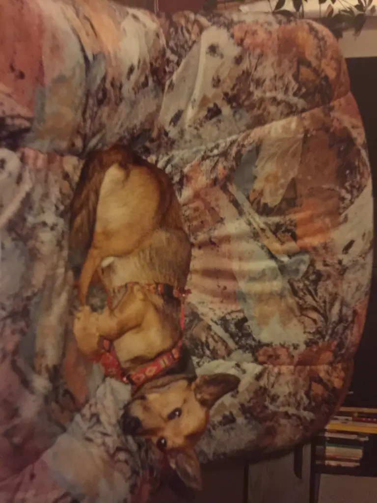 Andachtsbild von Manuela dein Frauchen 