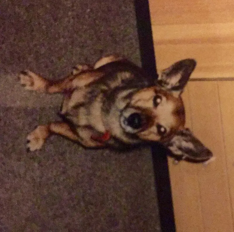 Andachtsbild von Manuela dein Frauchen 