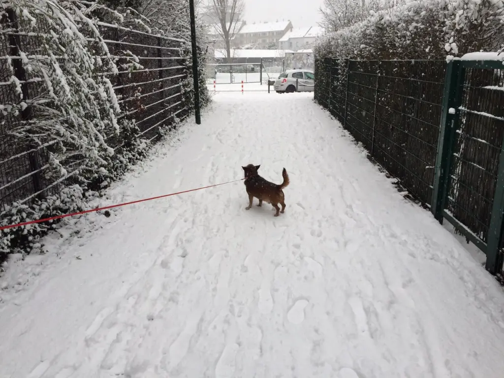 Andachtsbild von Manuela dein Frauchen