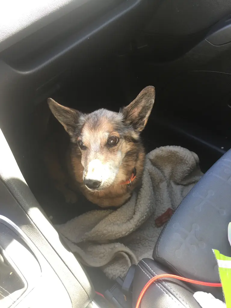 Andachtsbild von Manuela dein Frauchen