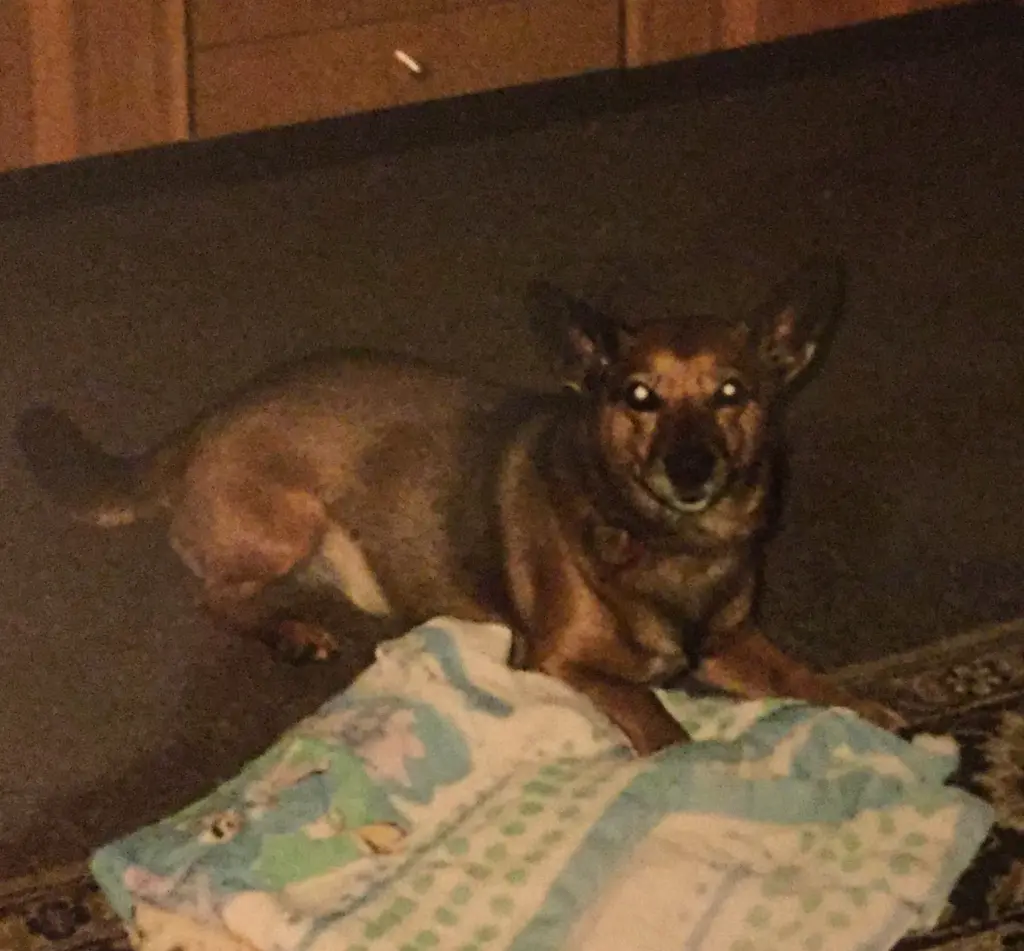 Andachtsbild von Manuela dein Frauchen 