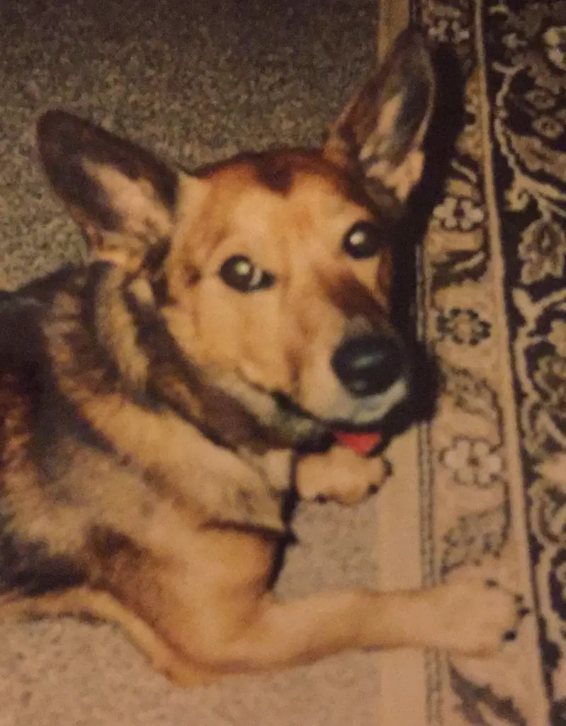 Andachtsbild von Manuela dein Frauchen