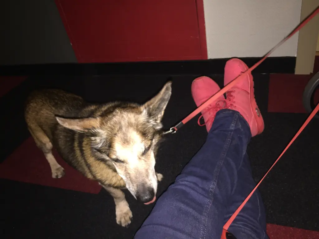 Andachtsbild von Manuela dein Frauchen