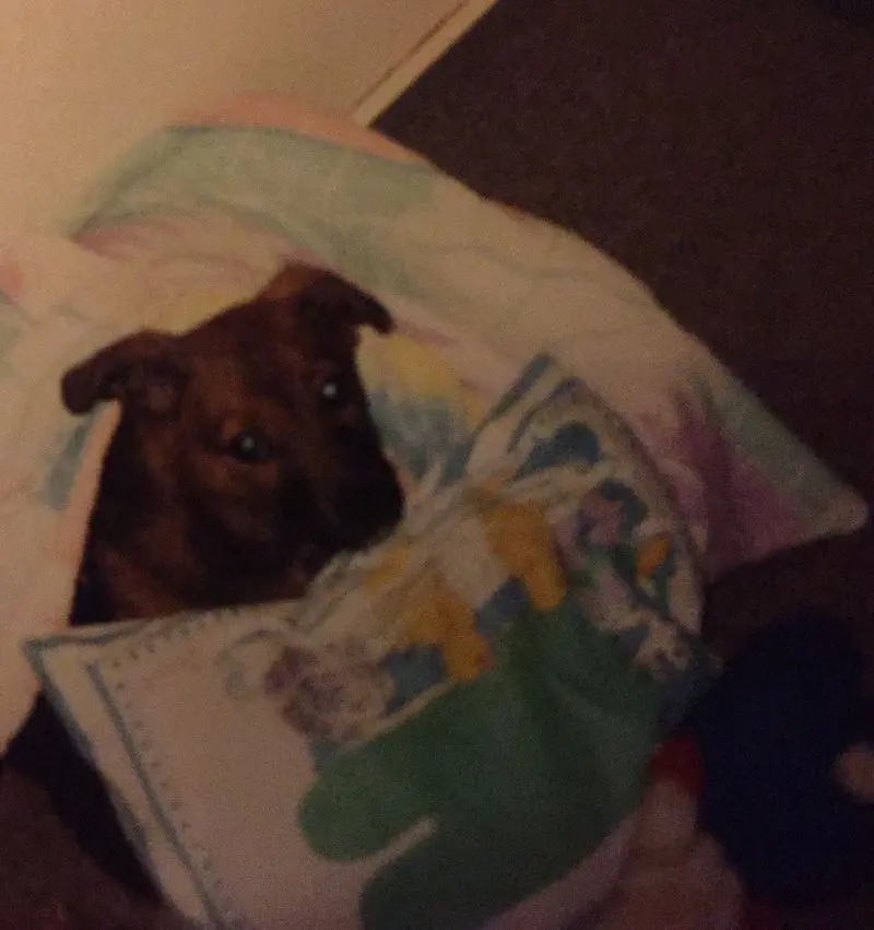 Andachtsbild von Manuela dein Frauchen 