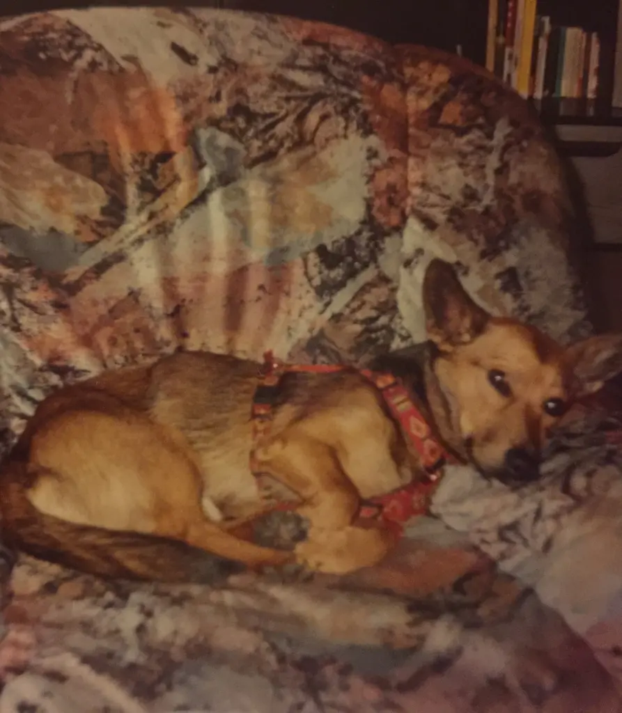 Andachtsbild von Manuela dein Frauchen 