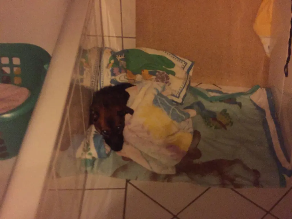 Andachtsbild von Manuela dein Frauchen