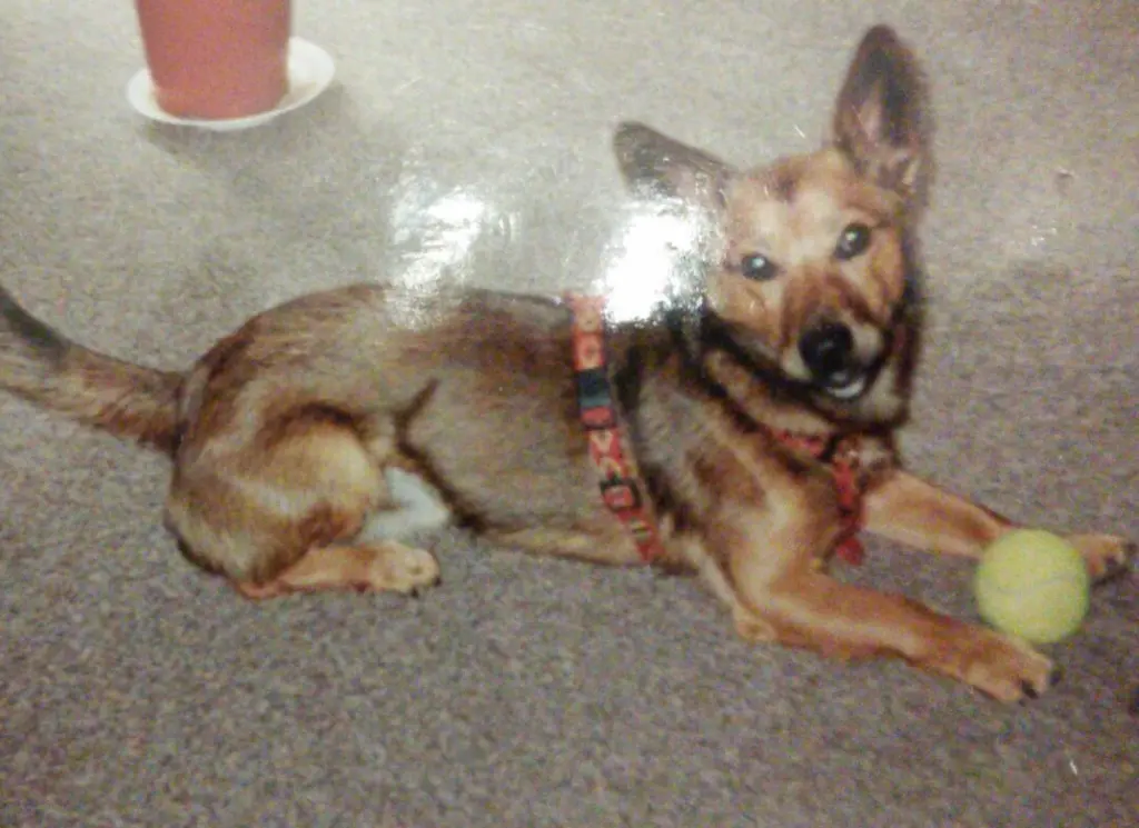 Andachtsbild von Manuela dein Frauchen 