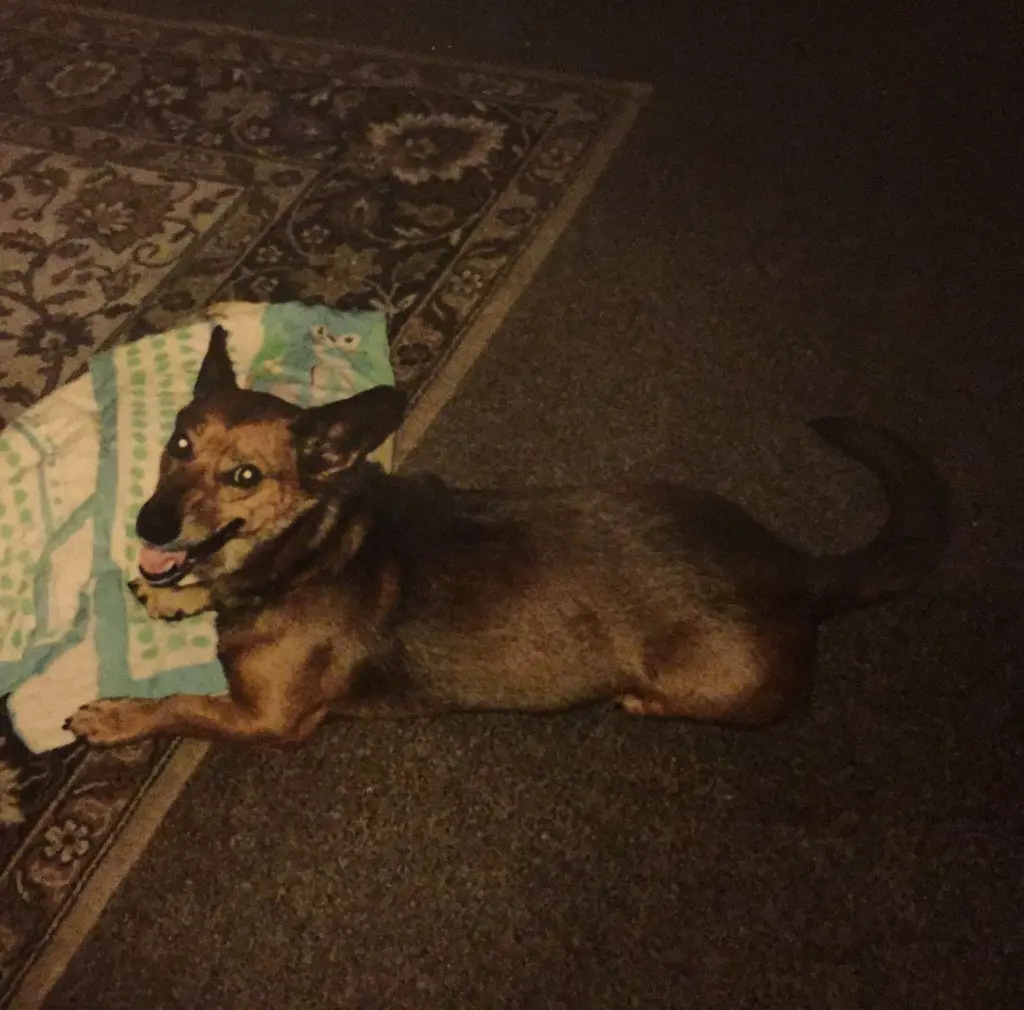 Andachtsbild von Manuela dein Frauchen