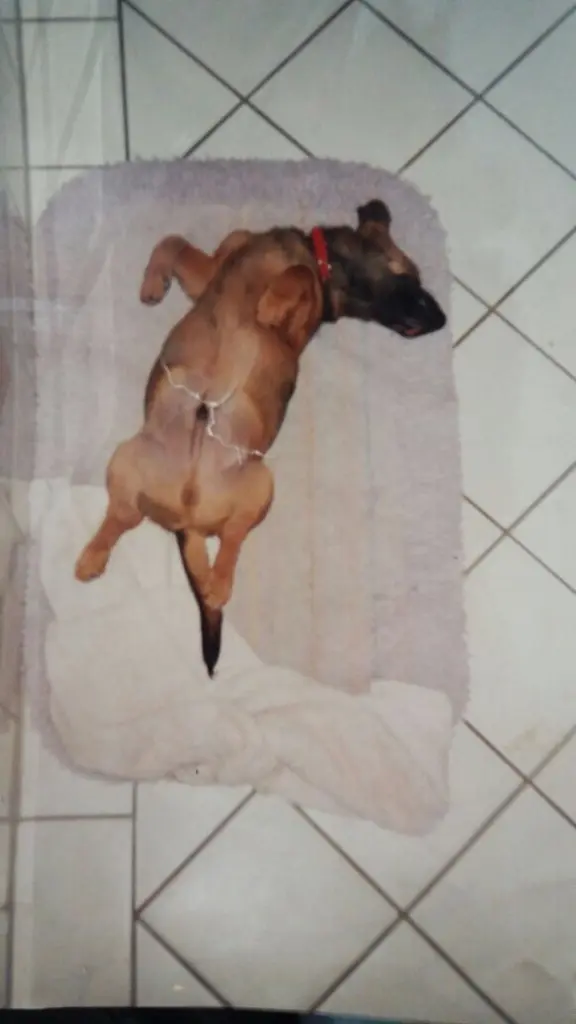 Andachtsbild von Manuela dein Frauchen 