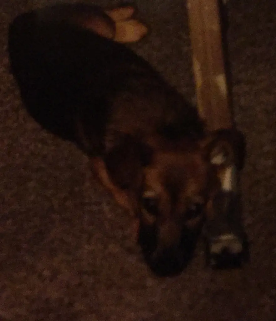 Andachtsbild von Manuela dein Frauchen 