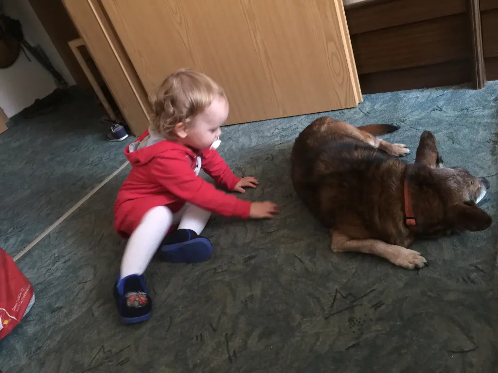 Andachtsbild von Manuela dein Frauchen