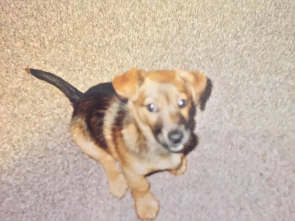 Andachtsbild von Manuela dein Frauchen