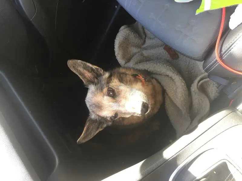 Andachtsbild von Manuela dein Frauchen 