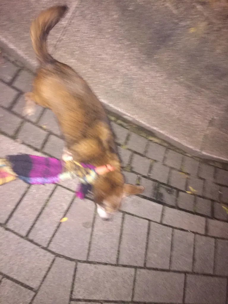 Andachtsbild von Manuela dein Frauchen