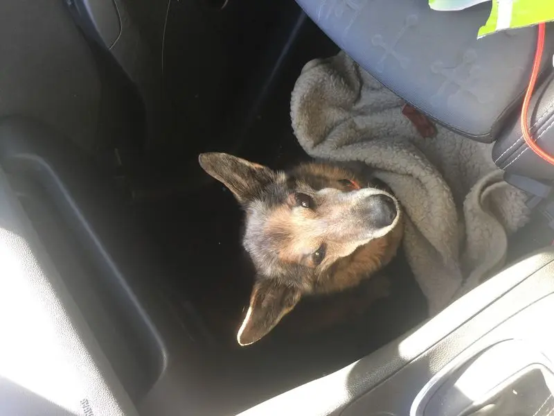 Andachtsbild von Manuela dein Frauchen