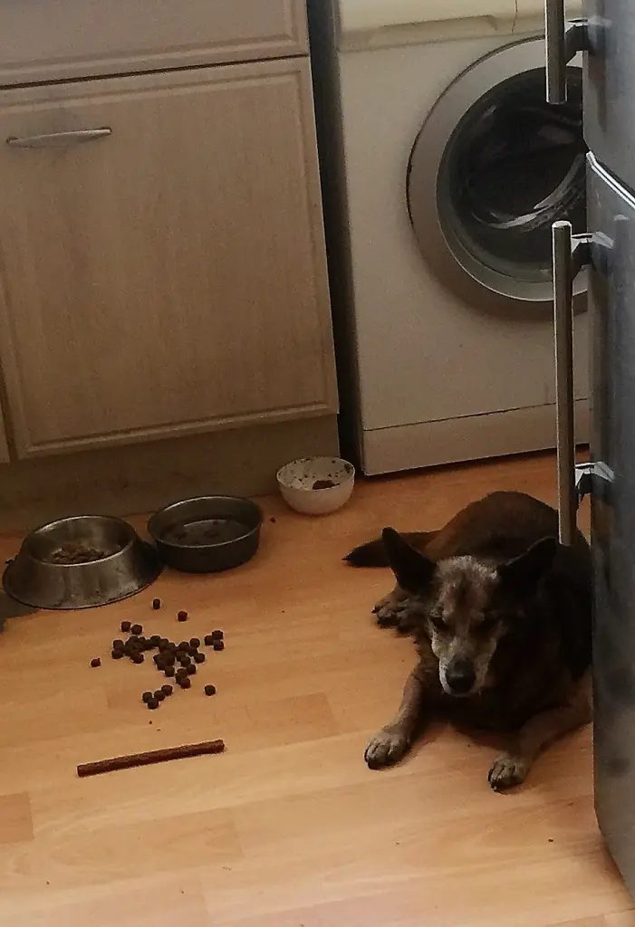 Andachtsbild von Manuela dein Frauchen