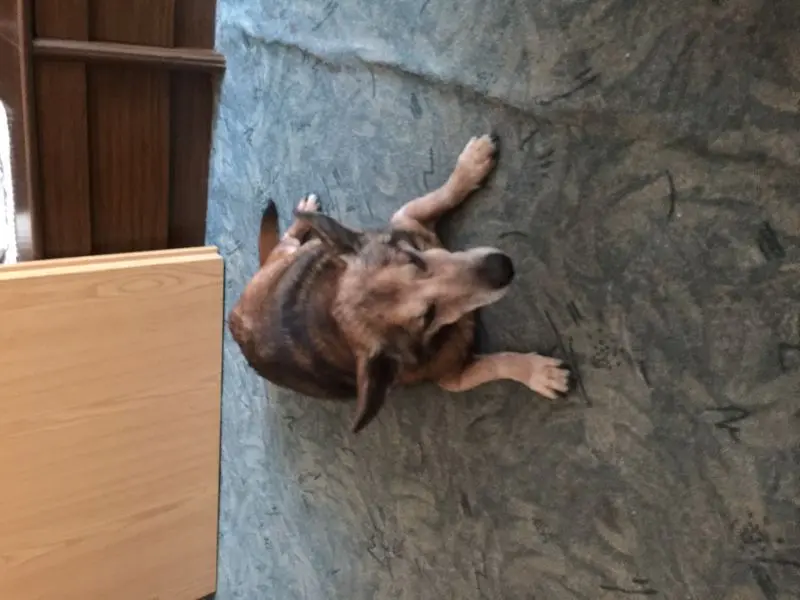 Andachtsbild von Manuela dein Frauchen 