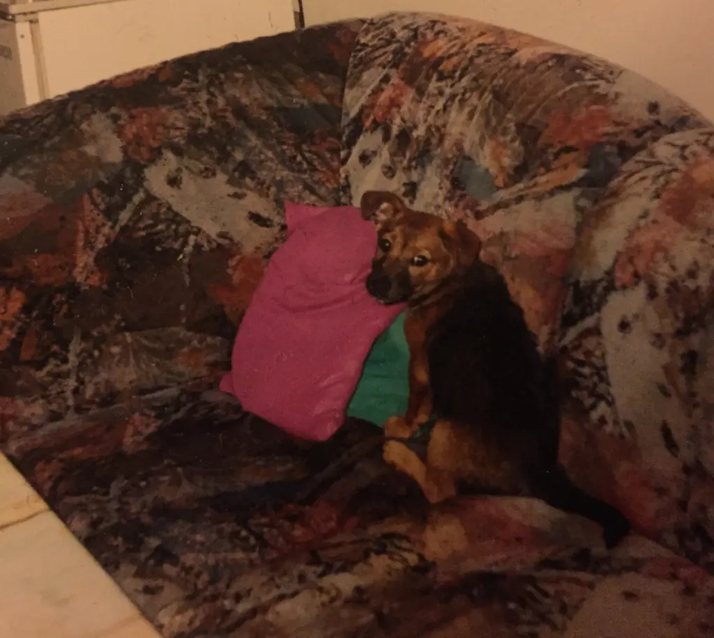 Andachtsbild von Manuela dein Frauchen 